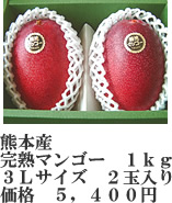 マンゴー1kg-3l