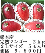 マンゴー２ｋｇ－３L