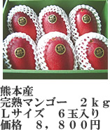 マンゴー２ｋｇ－Ｌ