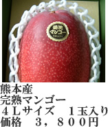 マンゴー４Ｌ