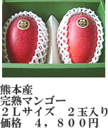 マンゴー2l