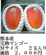 完熟マンゴーパック入り