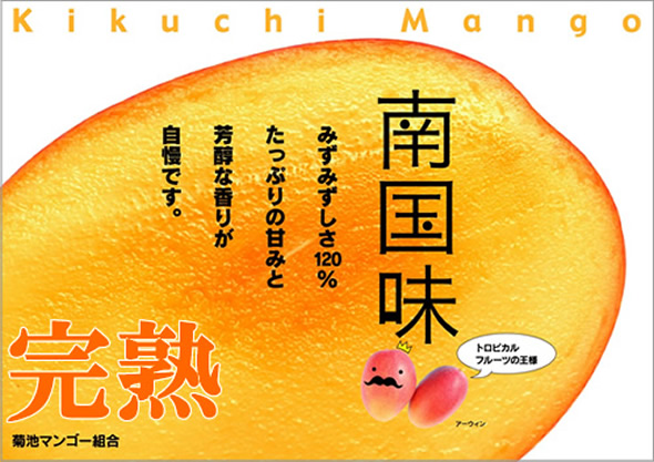完熟マンゴー