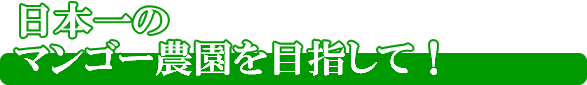 日本一のマンゴー農園を目指す