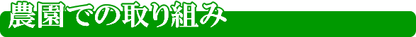 農園での取り組み