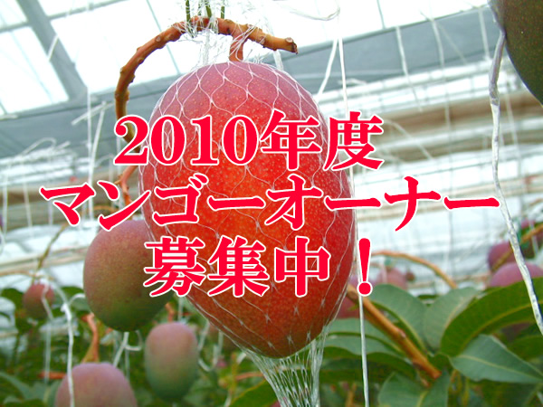 オーナー募集