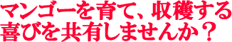 オーナー１