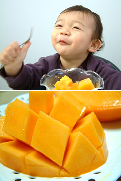 子供がマンゴーを食べる