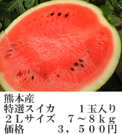 スイカ２Ｌ