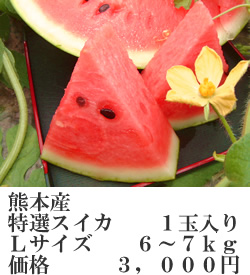 スイカＬ