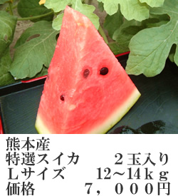スイカＬ