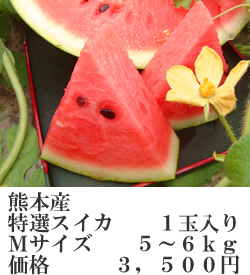 スイカＭ