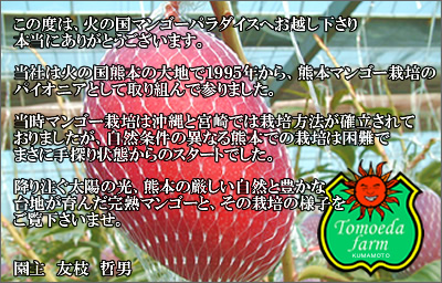 マンゴー農園案内