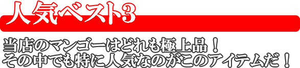 人気ランキング