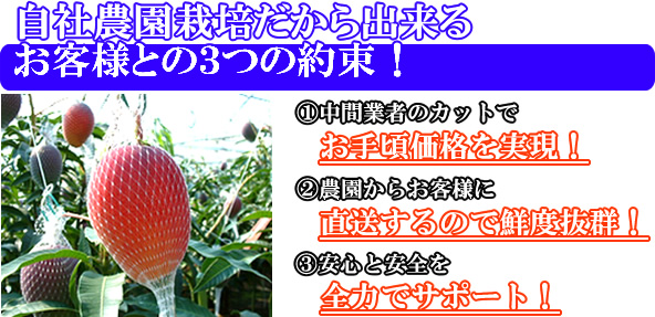 ３つの約束