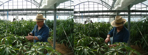 mango-2009-2-19.jpg