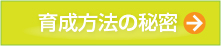 育成方法の秘密