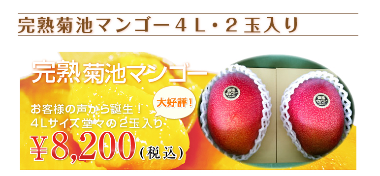 完熟マンゴー4Lサイズ・2玉入り - 火の国マンゴーパラダイス
