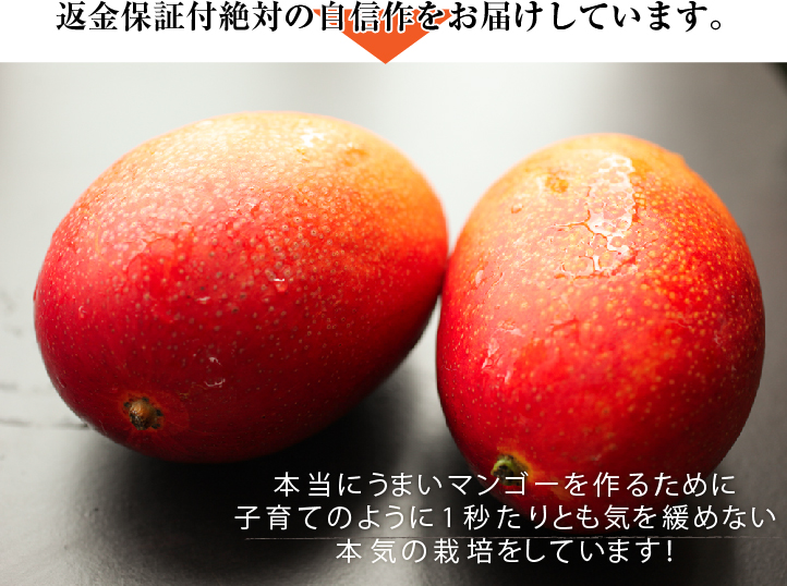 返金保証付絶対の自信作をお届けしています。