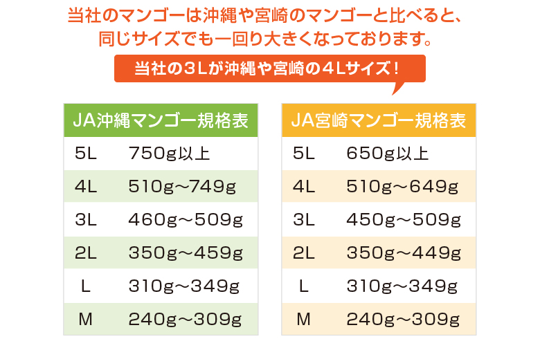 マンゴーの比較