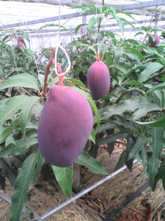 20080504150053.jpg