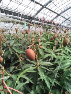 20080508091137.jpg