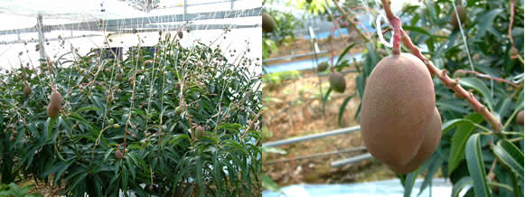2010-03-25.jpg