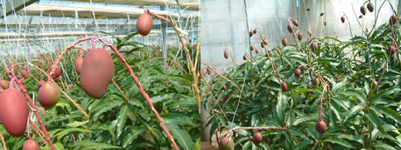 2010-04-10.jpg