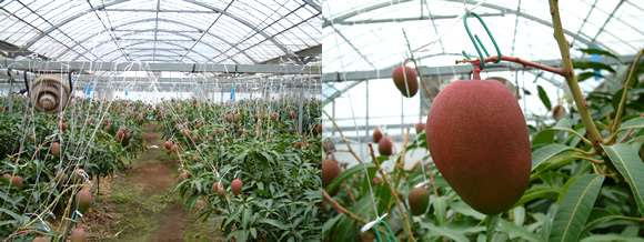 2010-04-22.jpg