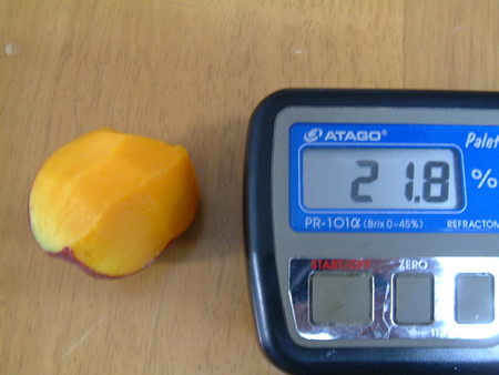 2010-05-11.jpg