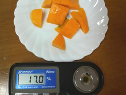 20100525-250.jpg