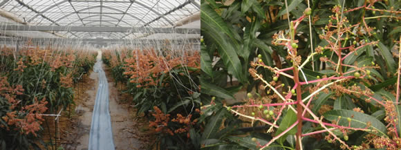 2012-02-12.jpg