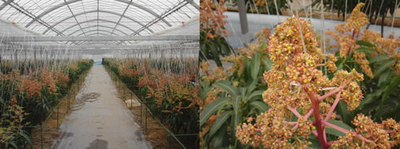 2012-02-13.jpg