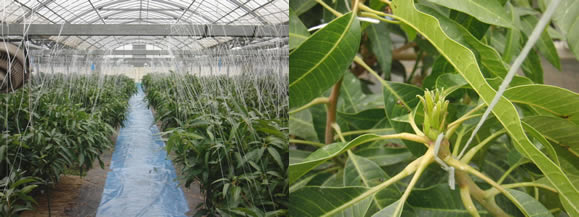 2012-02-16.jpg
