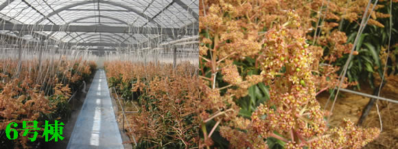 2012-02-29-1.jpg