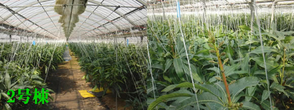 2012-02-29-2.jpg