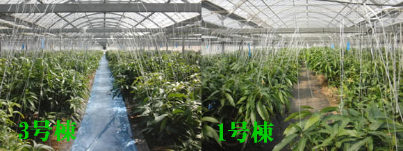 2012-03-01-2.jpg