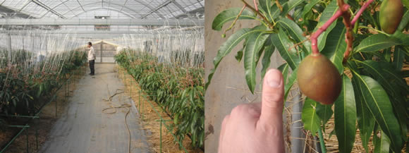 2012-03-10-2.jpg