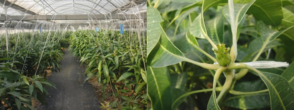 2012-03-12-1.jpg