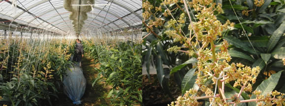 2012-03-12-2.jpg