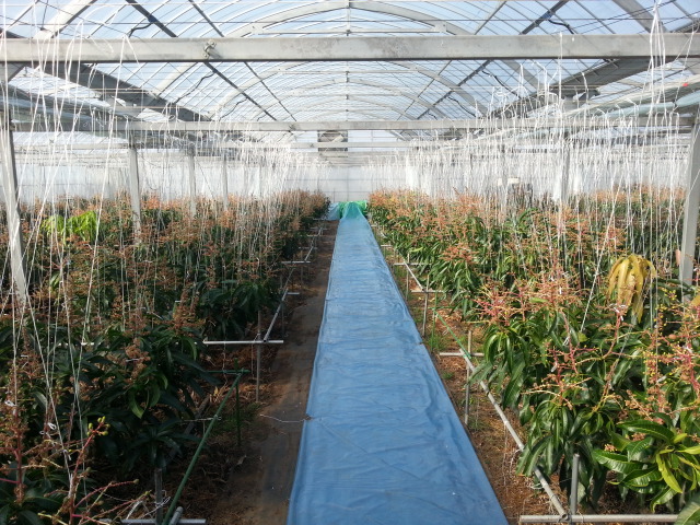 2013-01-18-2.jpg