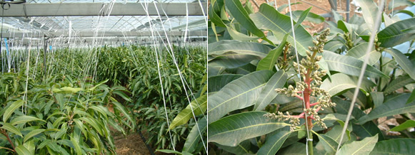 mango-2009-2-16.jpg