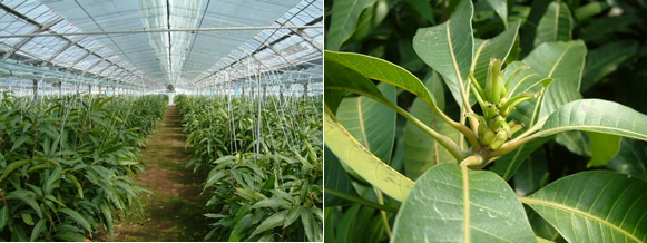 mango-2009-2-17.jpg