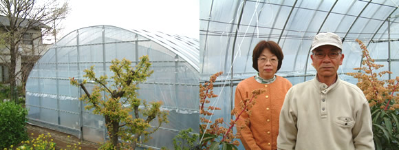 mango-2009-4-2.jpg