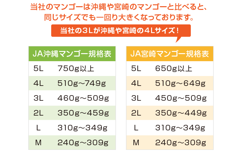 }S[̔r摜
