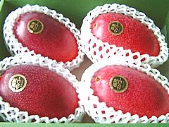 摘果マンゴー　40〜320g 6kg マンゴー | Dole（ドールジャパン）